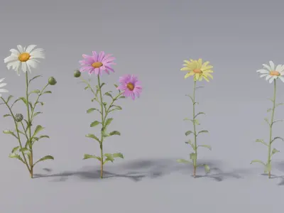  Flower collection vol06 Daisy 