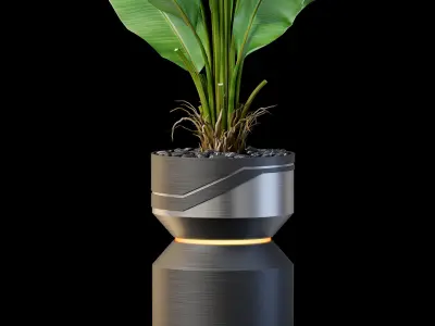 Plants collection 875 3D model