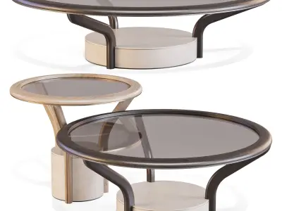 Giorgetti Chanterelle - Coffee and Side Tables 3D model
