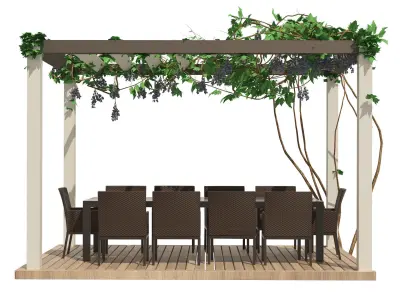 Modern pergola with climber grapevine 3d model 3D model