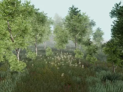 Birch forest pack for Unity Low-poly 3D model