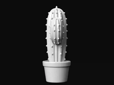 Cactus 3D print model