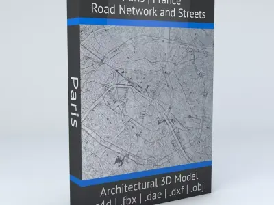 Paris Road Network and Streets 3D model