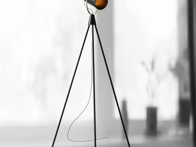 Briand Floor Lamp Black 3D model
