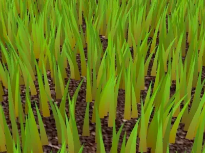 Grasses 3D model