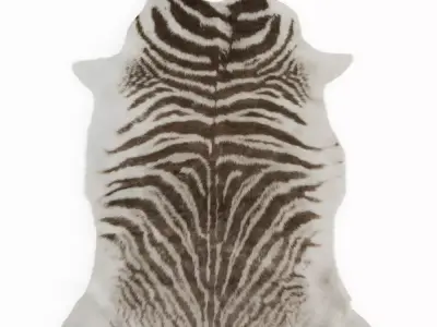 Zebra Gray Rug 3D model