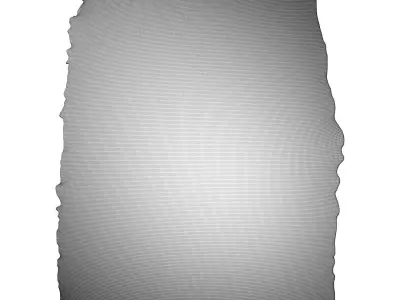  Altelier fern Carpet Low-poly 3D model