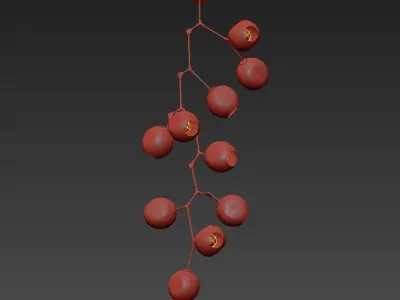 FAIRFAX fruit hanging from branch 3D model