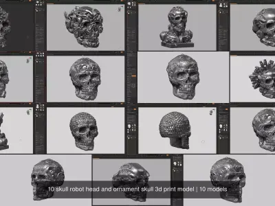 10 skull robot head and ornament skull 3d print model 3D Model Pack