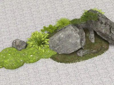 Landscape Installations of Bryophyte Plants 3D model