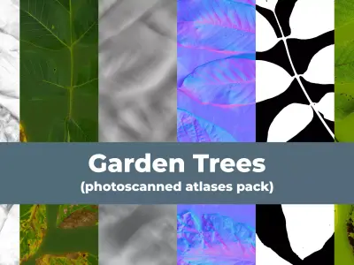 Garden trees leaves atlases Texture
