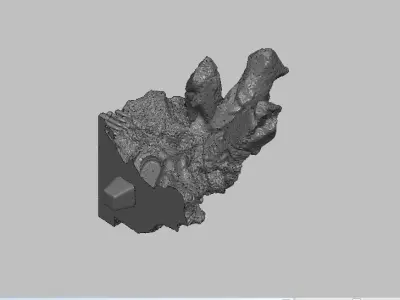 Base 2 skull 3D print model