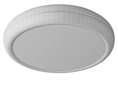 Wood Grain Round Ceiling Lamp 3D model