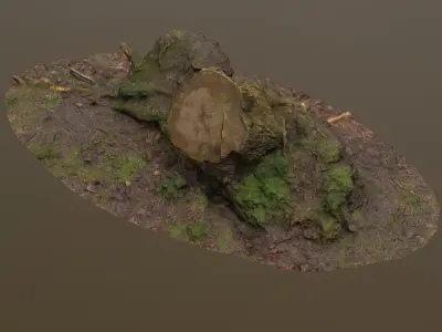 Fallen Tree Trunk Low-poly 3D model
