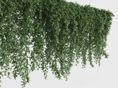  Climbing Plants Collection (+GrowFX) 