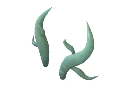 Dragon Horn v1 001 Low-poly 3D model