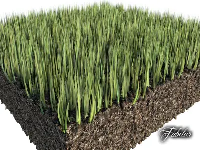 Grass patch 02 3D model