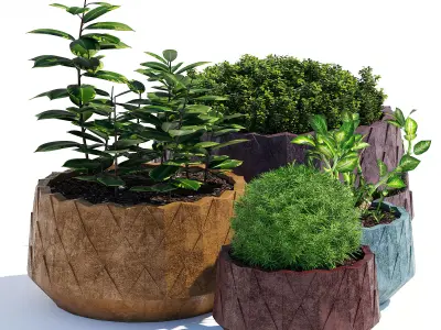 Agave Series 3D model