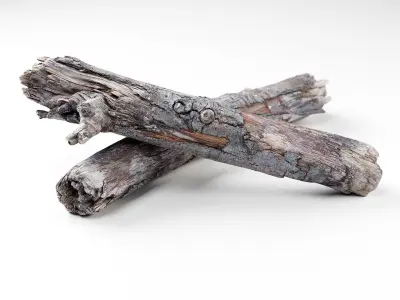 Wooden Stick - 3D Scan Low-poly 3D model