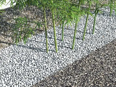  Bamboo Trees 3 (+GrowFX) 