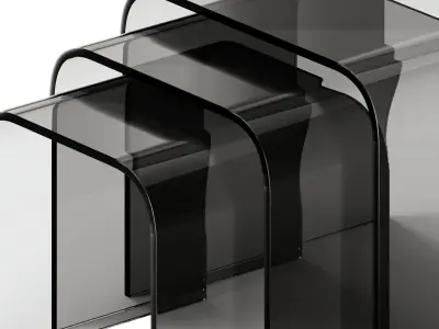 Tonin Casa ANEMONE Glass coffee tables Set 3D model