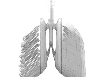 Sci-Fi Artificial Lungs Low-poly 3D model