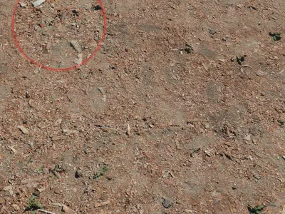 Ground with sawdust 3D model