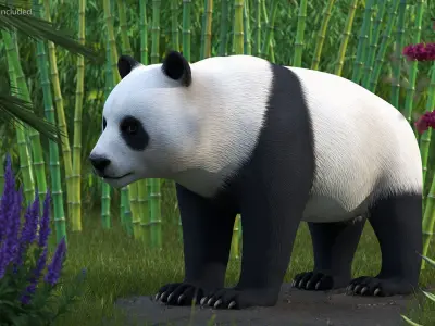  Giant Panda 