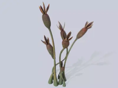 Extraterrestrial plant Low-poly 3D model