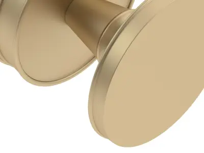 Berkeley Mortice Door Knob 3D model