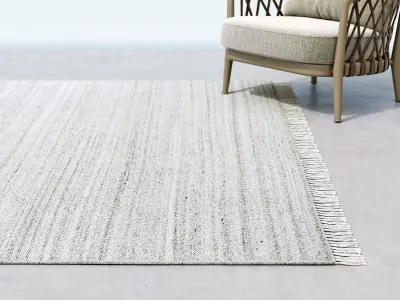 Indra Rug 3D model