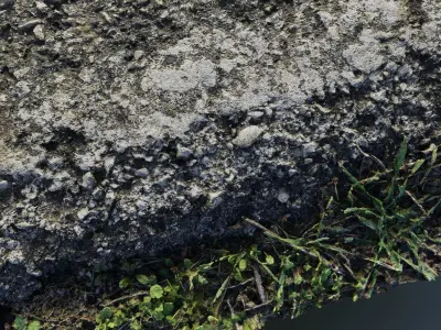 Roadedgecampscan01 3D model