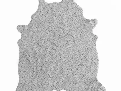 Black And White Cow Hide Rug 3D model