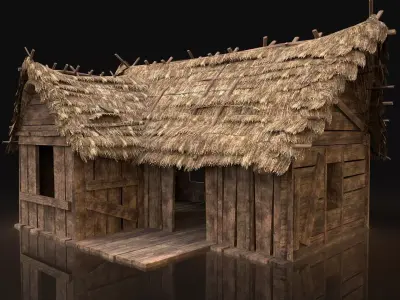 AAA Next Gen Thatched Wooden House Cottage Hut Low-poly 3D model
