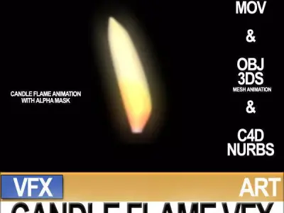Visual FX Candle Flame Animation 90 Frames 3D model