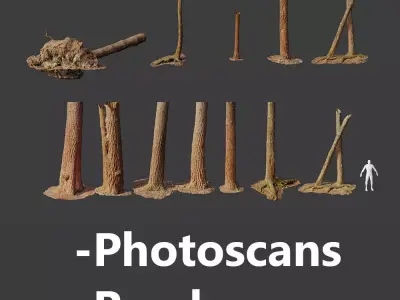 Pine Tree Collection PBR Scan 3D Model Pack