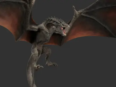  Dragon Black Rigged 