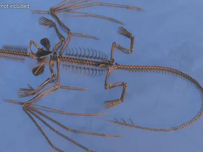  Fossilized Dragon Skeleton in Unfolded State for 3D Print 