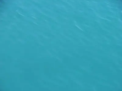 Norway island with trees and river Low-poly 3D model