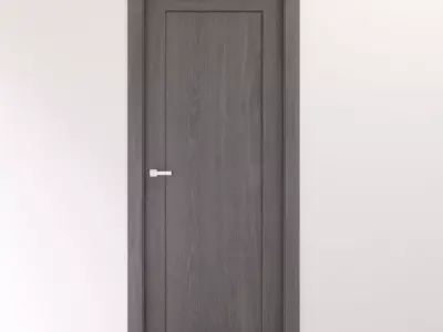 Modern interior gray oak solid door 3D model