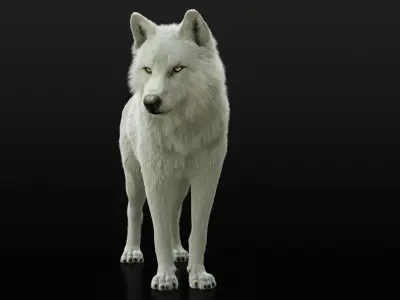  Arctic Wolf Rig XGEN-IGS 
