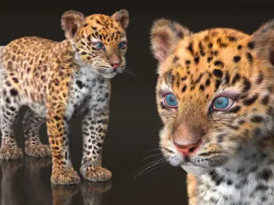  Leopard Cub Playing Fur Animated Rigged 
