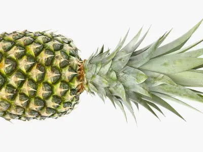  Ultra Detailed Pineapple 