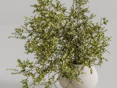 plants bouquet vase 46 3D model