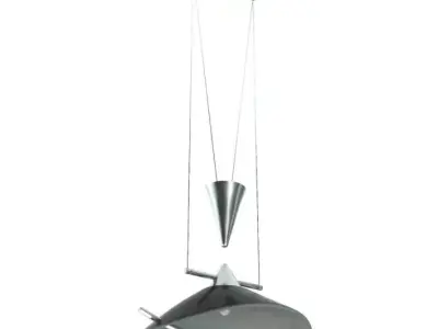 Light   Ceiling Fixture 3D model