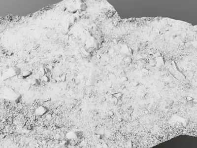 Forest Path 3D model