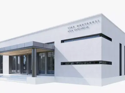 emergency Low-poly 3D model