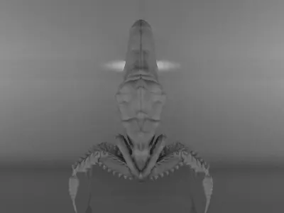 scrab model creature 3D model