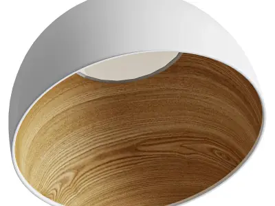 Duo Slanted Ceiling Lamp 3D model