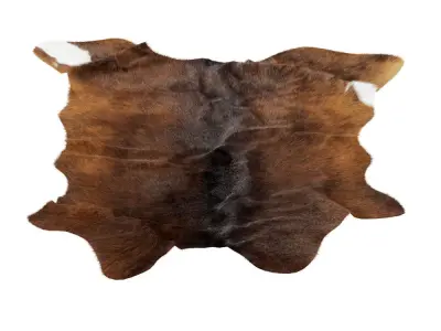 Animal skin rug 14 3D model